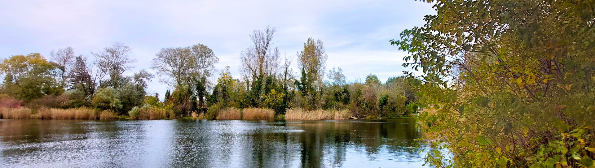 Panoramablick vom Mühlwasser in Aspern