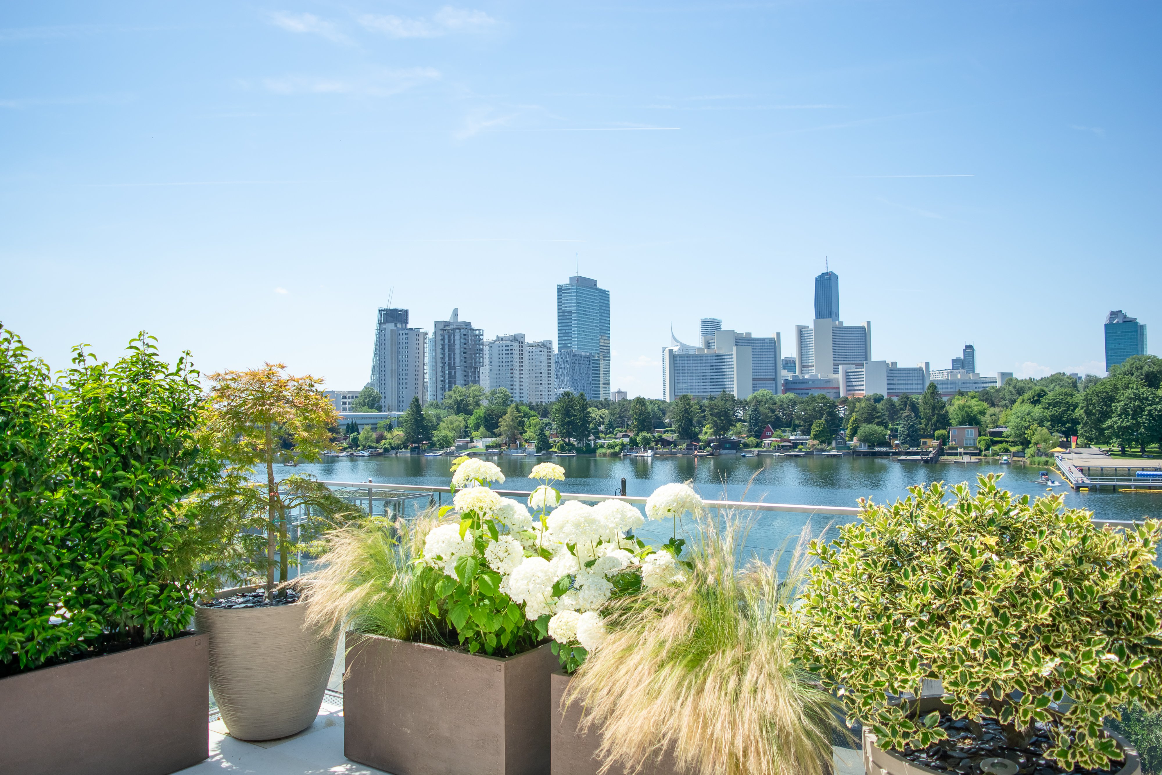 Aussicht auf die Alte Donau und Skyline Wien