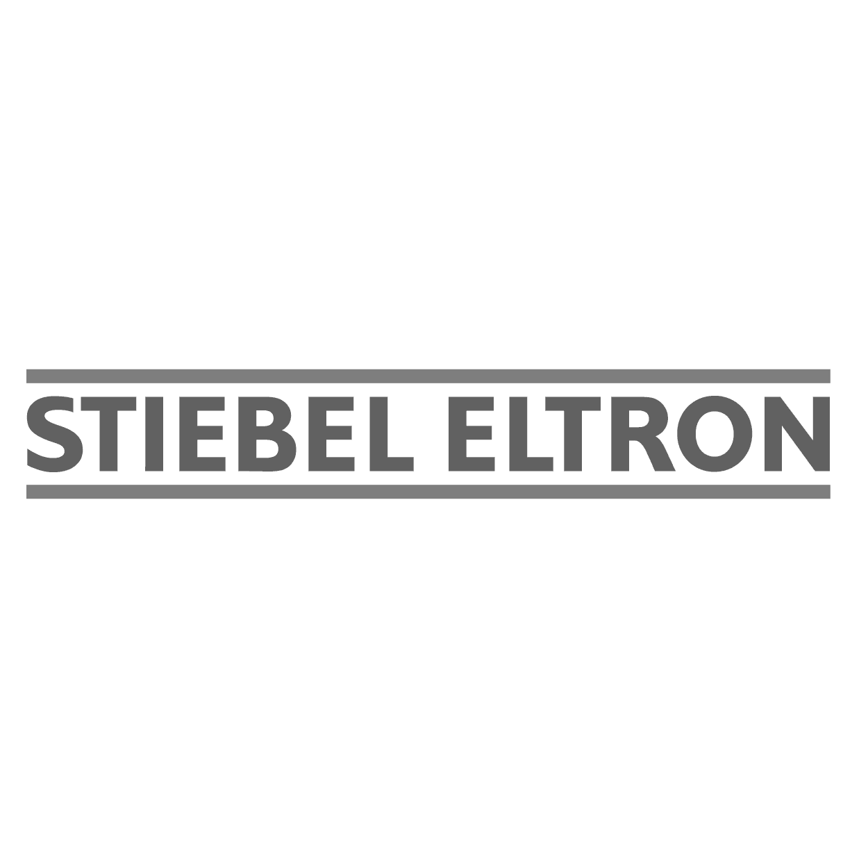 Logo Stiebel Eltron
