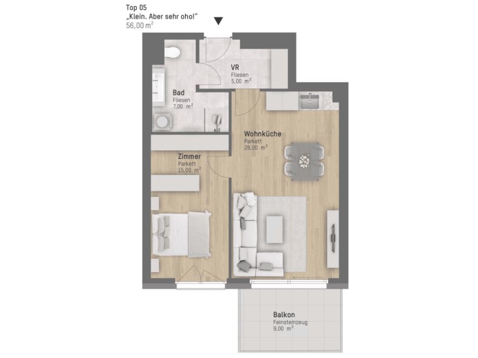 Wohnungsplan von Rieglgasse 1 Top 5