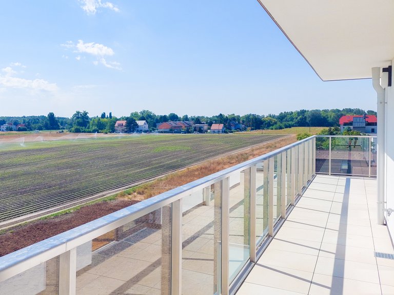 Aussichtsfoto vom Balkon einer Glorit-Wohnung ins Grüne
